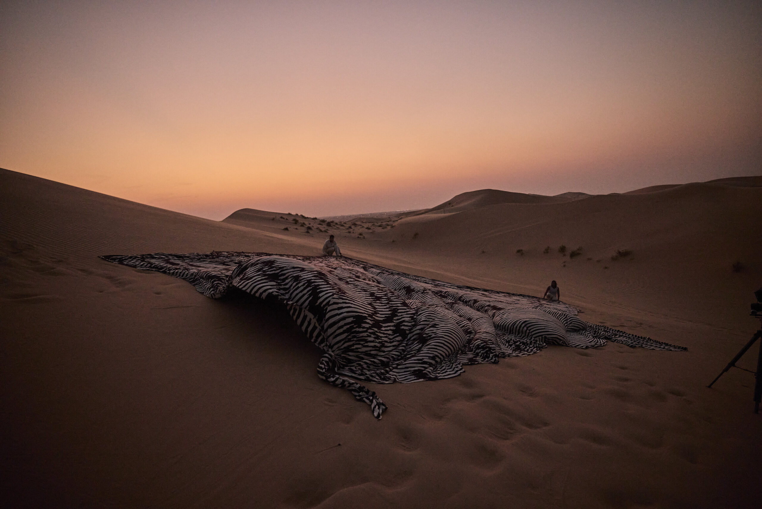 從味增湯中花蛤為靈感的A Thousand Layers of Stomach在阿布達比沙漠中展開Photos by Adam Jirat, PETR&Co. Supported by Trame Paris. (A.A. Murakami 提供) - men's uno Taiwan